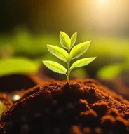 Talc for Agriculture